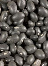 Black Turtle Beans, Organic