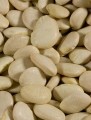 Baby Lima Beans, Organic