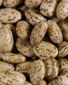 Pinto Beans, Organic