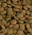 Organic Brown Lentils