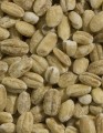 Hulled Barley, Organic