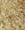 Psyllium Husk
