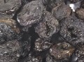 Unsulphured SunDried Bing Cherries