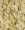 Flake Wheat Germ
