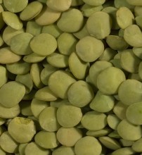Green Lentils, Organic
