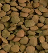Organic Brown Lentils