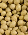 Yellow Soybeans, Organic 15 oz