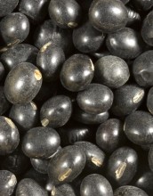 Black Soybeans, Organic