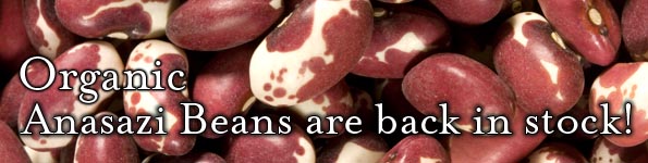 anasazibeansareback.jpg