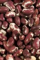 Anasazi Beans, Organic