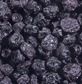 Blueberries, Wild, Organic