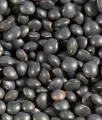 Black Beluga Lentils, Organic