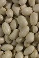 Great Northern Beans, Organic