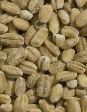 Hulled Barley, Organic